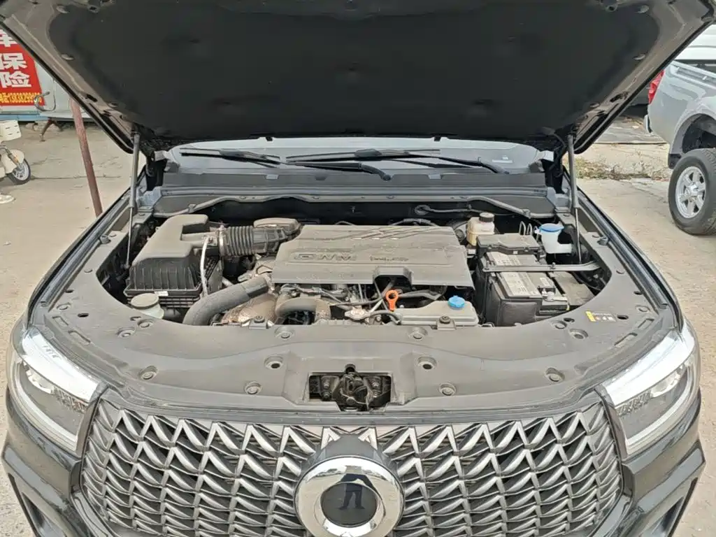 Great Wall Pao 2026 2024 Model 2.4T Commercial Version Automatic Diesel 4WD Elite Type
