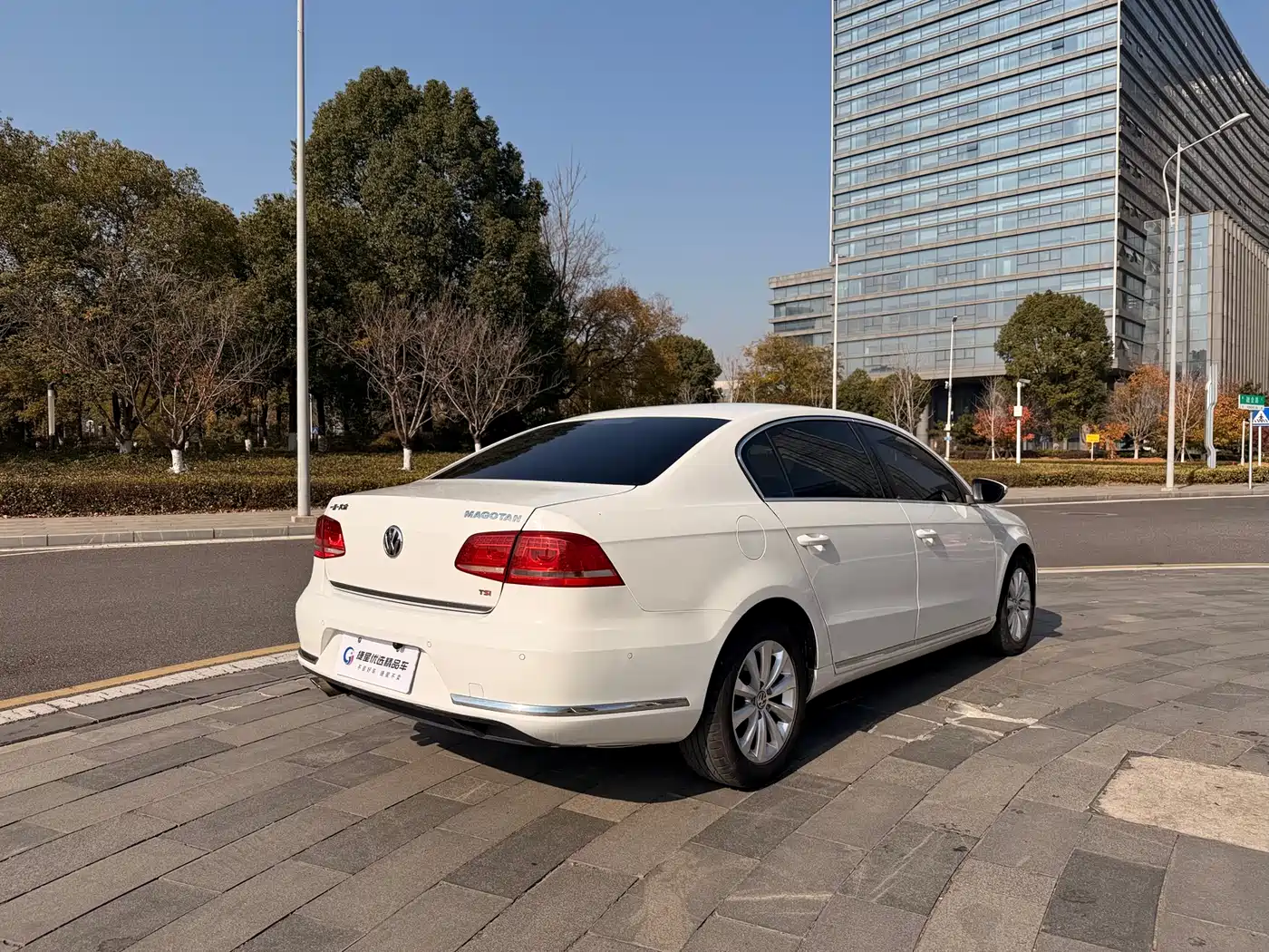 Volkswagen Magotan 2015 1.8TSI Luxury фото 7
