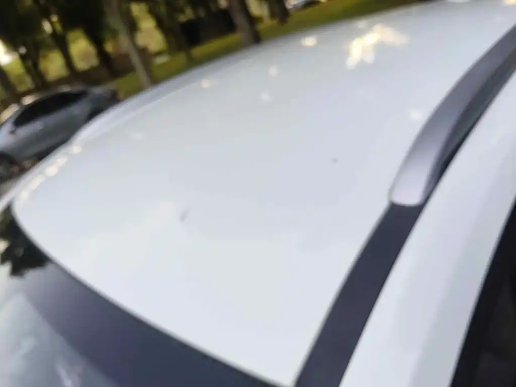 Weltmeister EX5 2019 2019 EX5 Mate Power Alliance Edition 400
