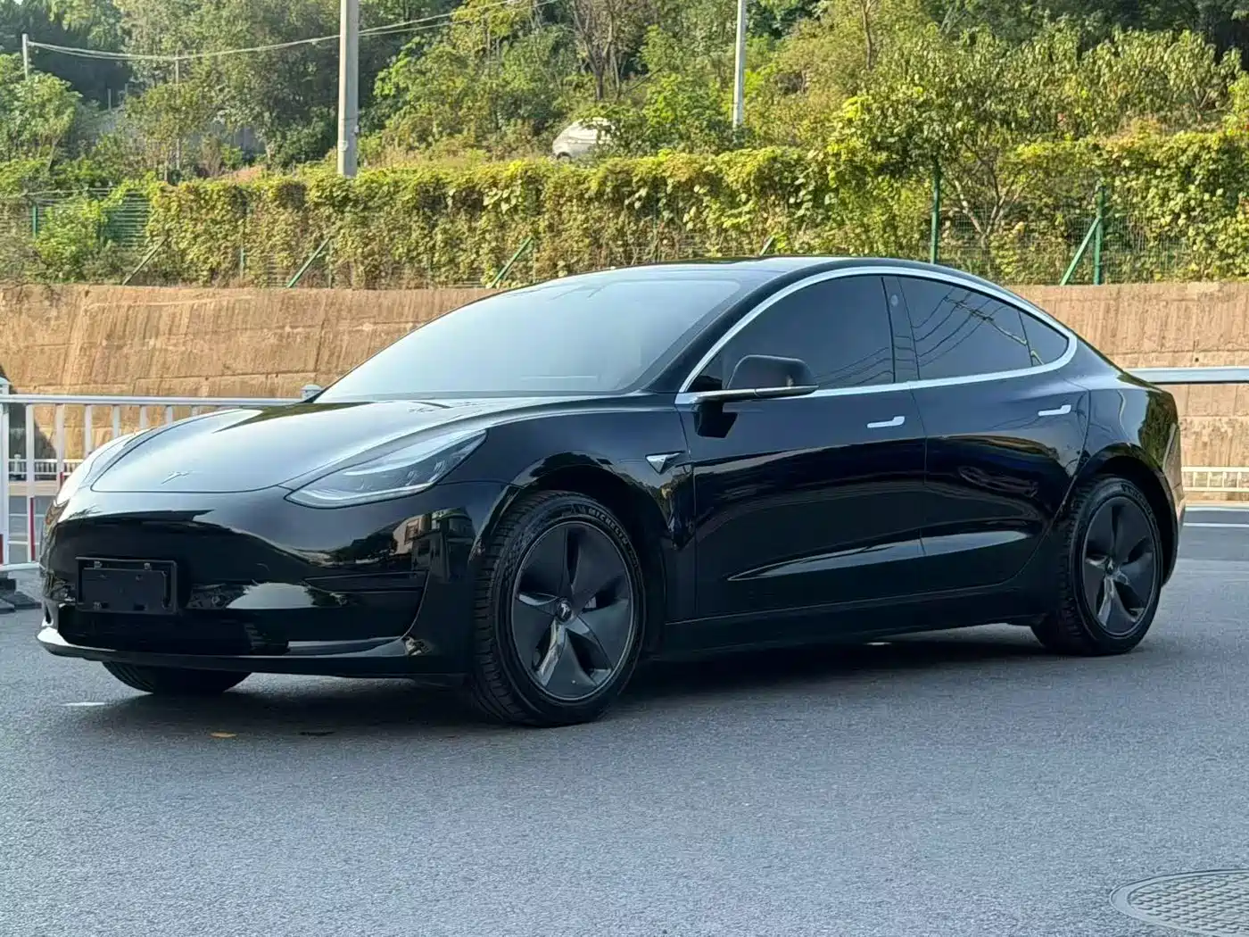 Tesla Model 3 2020 2020 Standard Range Rear-Wheel Drive Upgrade