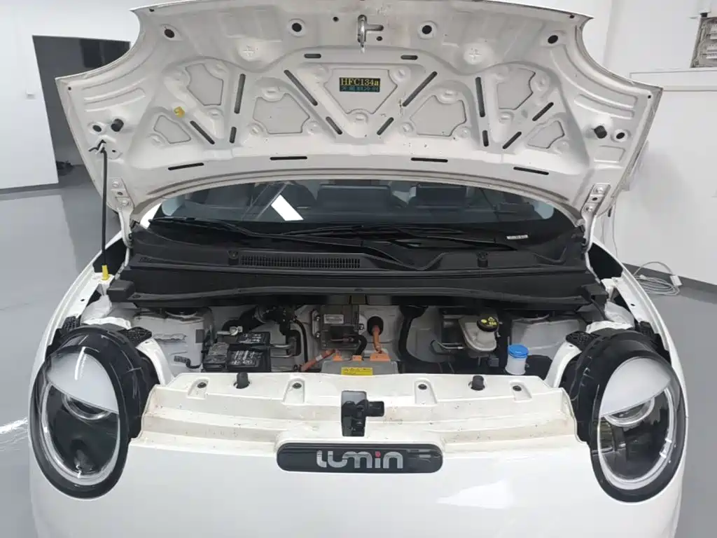 Changan Lumin 2025 2025 301km Honey Edition