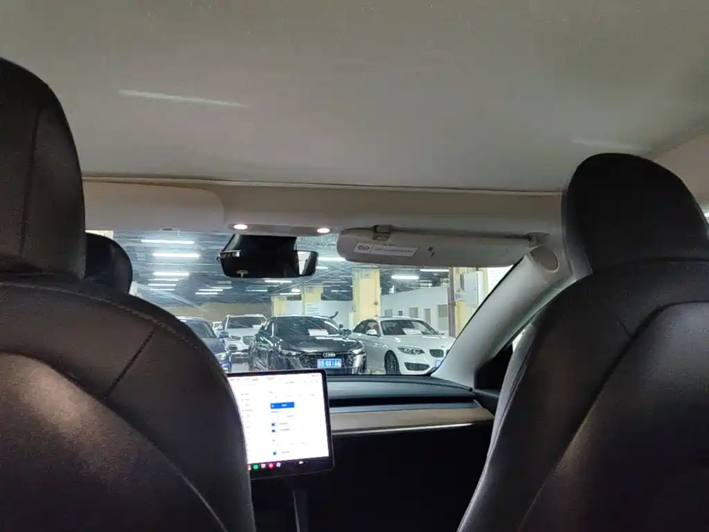 Tesla Model 3 2020 2020 Standard Range Rear-Wheel Drive Upgrade