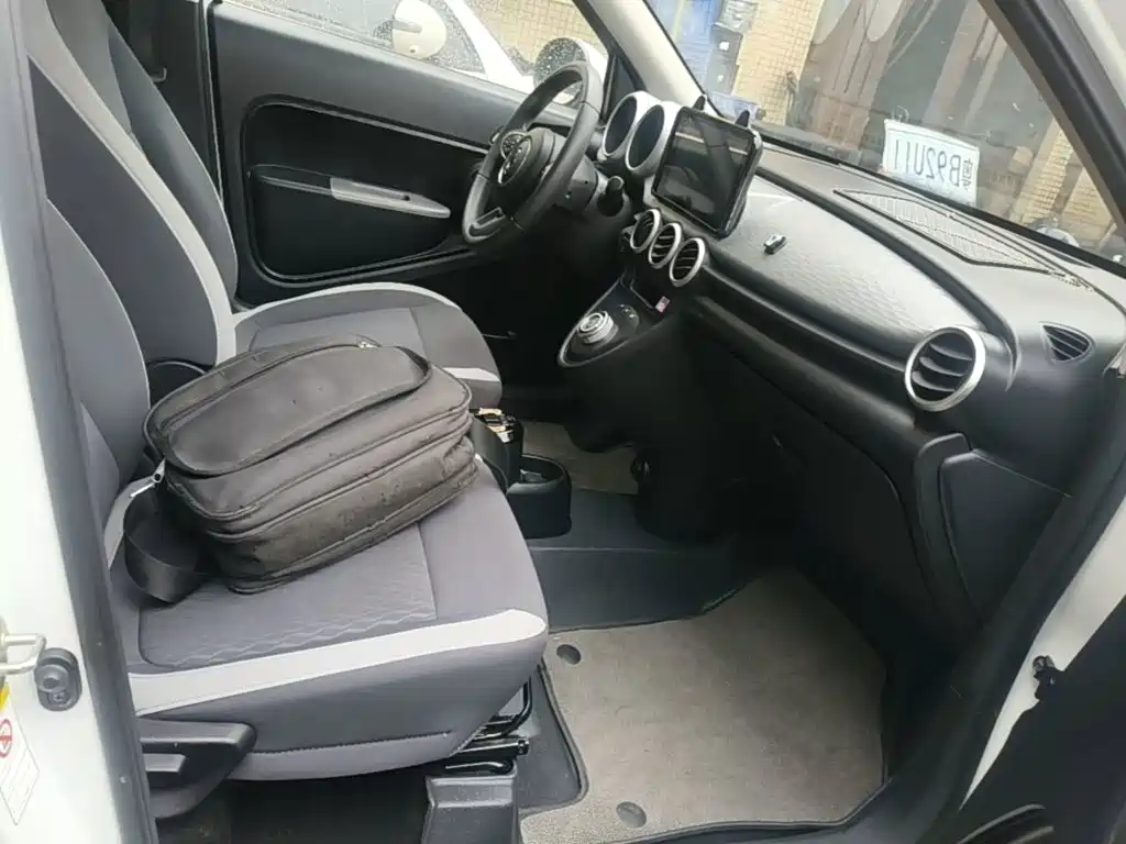 Ora Black Cat 2019 2019 Model 351km Smart Intelligence Edition