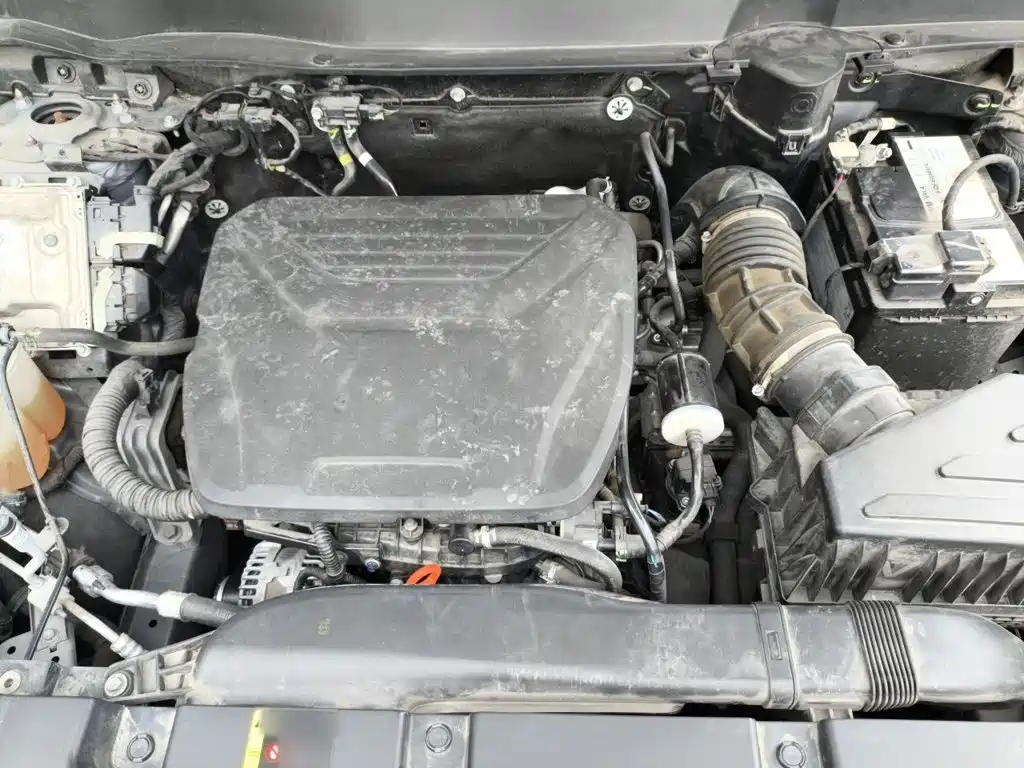 Photo 11 - Haval Big Dog