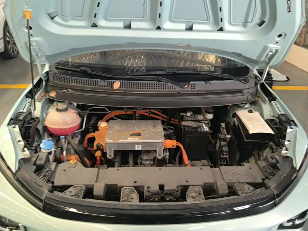 Geely Geometry E Firefly 2024 2024 Model 301km Light Flow