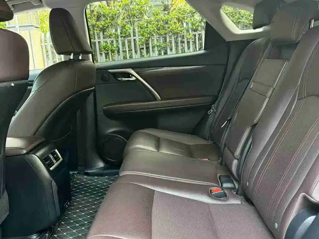 Lexus RX 2020 300 2WD Comfort Edition China V фото 10