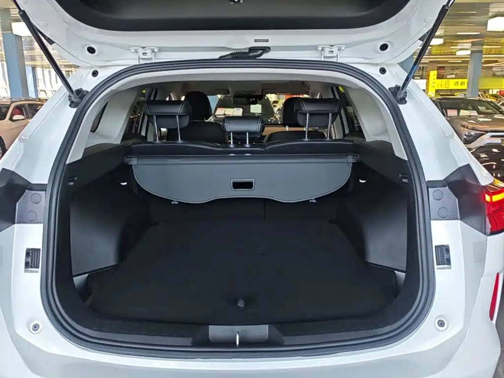 Haval H6 2025 2024 Model 1.5T 2WD Classic Edition