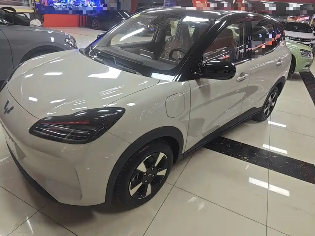 Wuling Motors Wuling Binguo PLUS 2026 2024 401km Range 5-seater