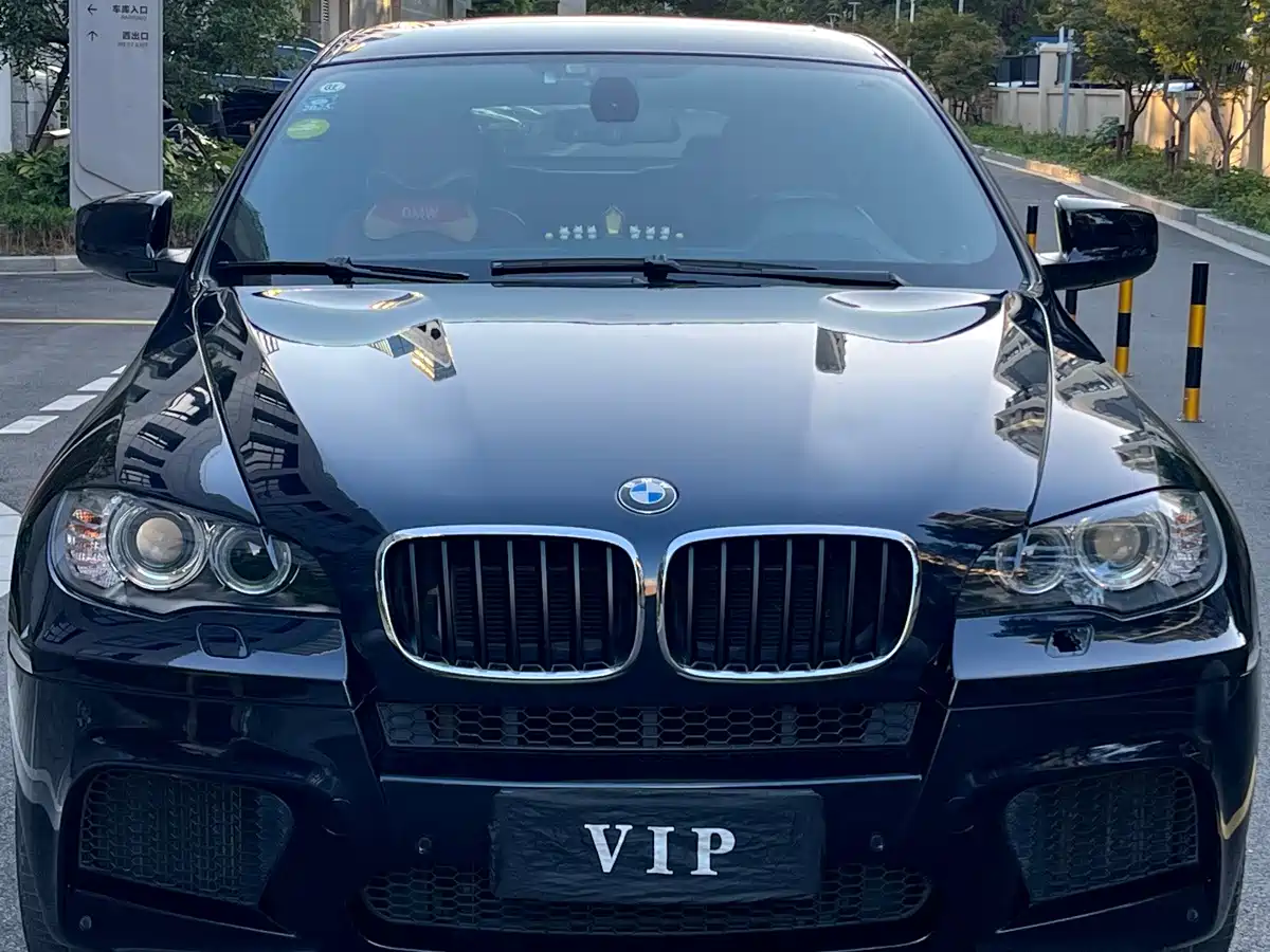 BMW X6 M 2011 2010 X6 M
