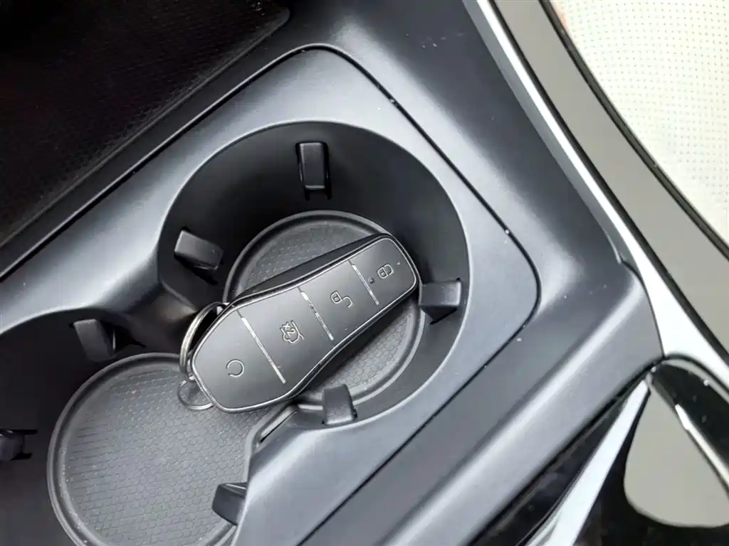 BYD Qin PLUS 2024 Glory Edition EV 420KM Leading фото 9