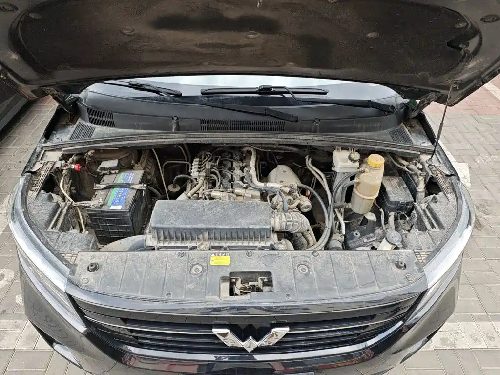 Wuling Motors Wuling Journey 2022 2021 1.5T Manual Luxury Edition