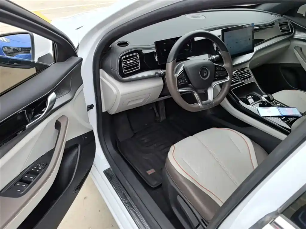 BYD Qin PLUS 2024 Glory Edition EV 420KM Leading фото 16