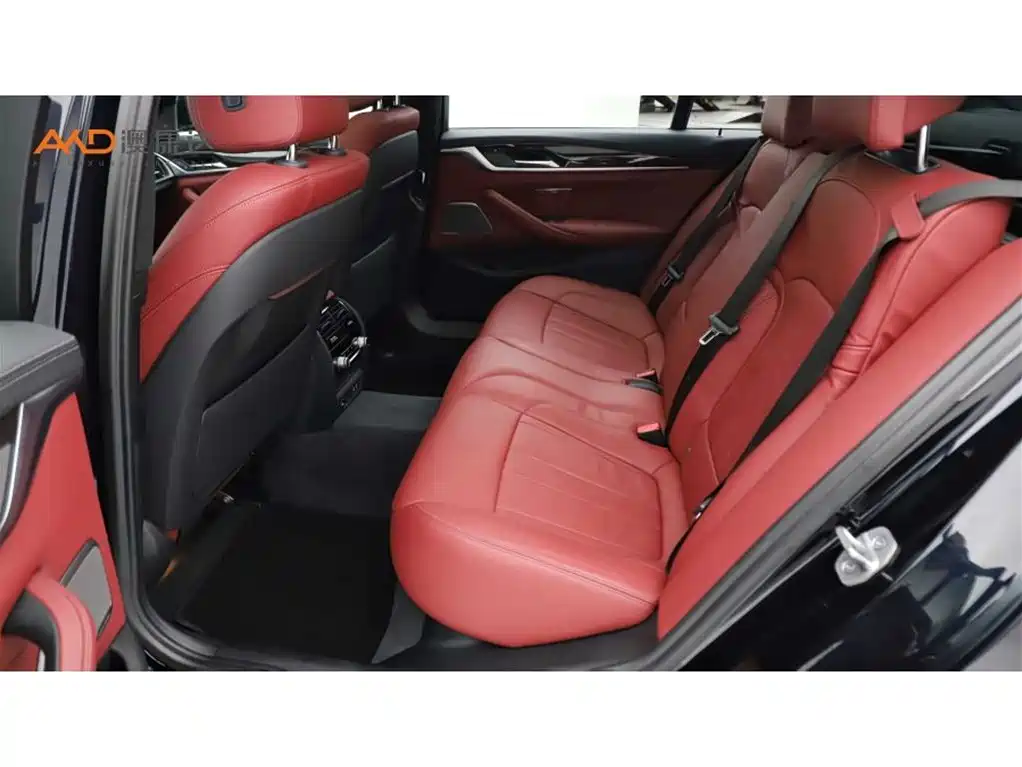 BMW 5 Series 2020 530Li Exclusive M Sport Package фото 7