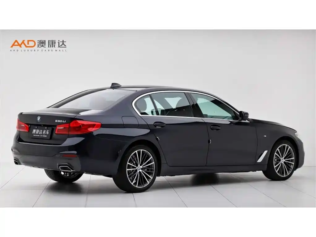BMW 5 Series 2020 530Li Exclusive M Sport Package фото 3