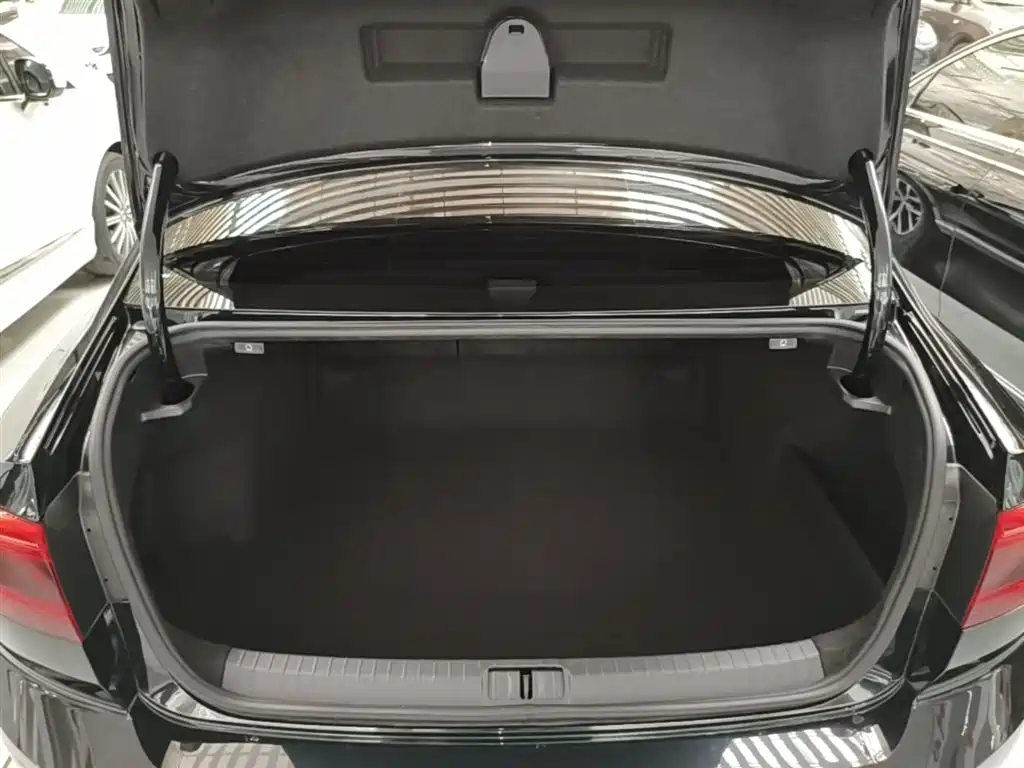 Volkswagen Magotan 2020 330TSI DSG Luxury фото 19