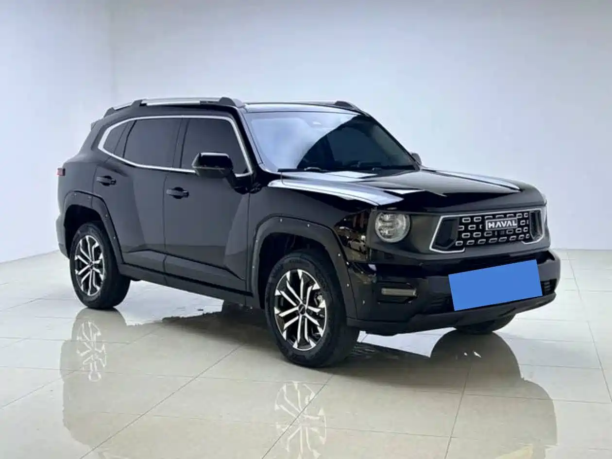 Haval Big Dog 2024 2.0T DCT Chinese Rural Dog Edition фото 3
