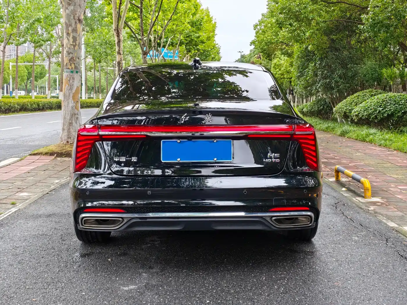 Hongqi H5 2025 2025 2.0T Automatic Flag Celebration 500,000 Units Anniversary Edition