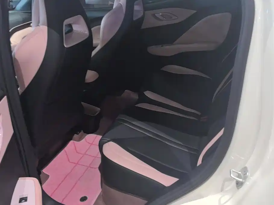 BYD Seagull 2026 2025 Smart Drive Edition 305km Vitality Version