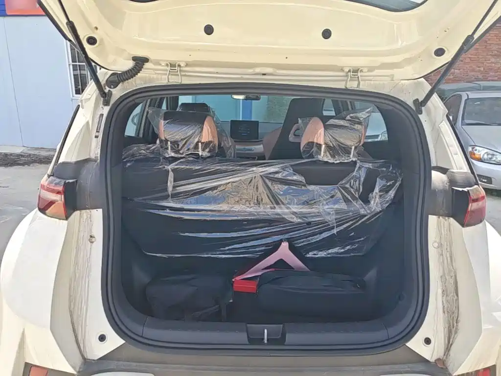 BYD Seagull 2026 2025 Smart Drive Edition 305km Vitality Version