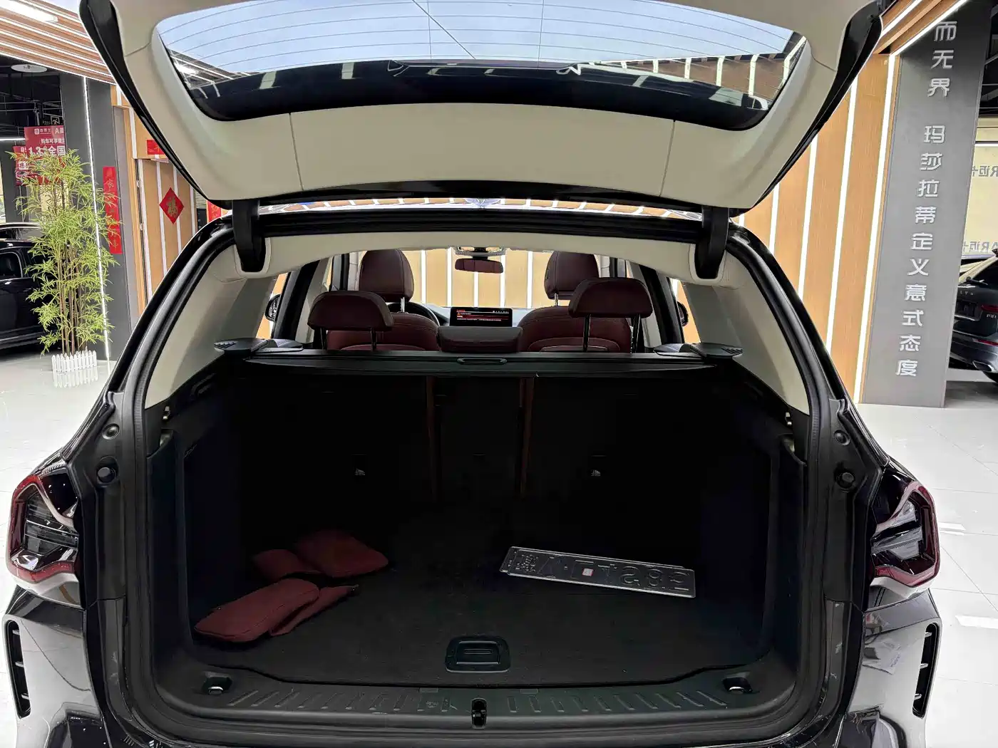 BMW X3 2022 xDrive30i Leading M Night Package фото 11