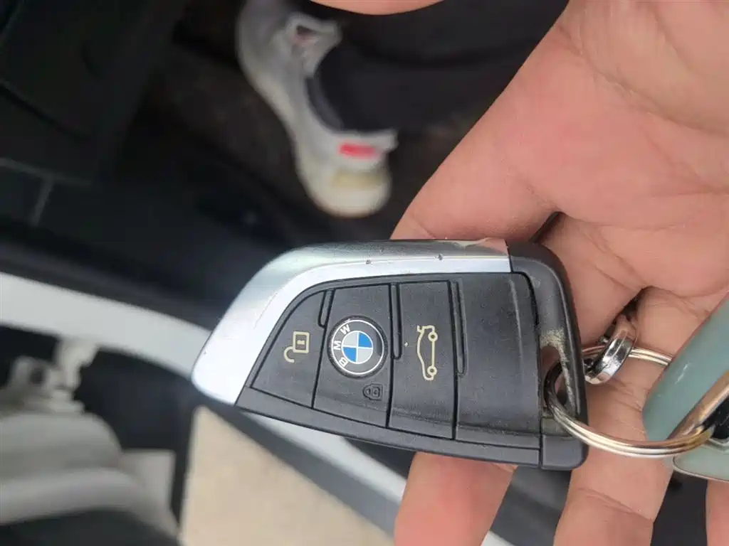 BMW X2 (Import) 2019 sDrive20i M Off-Road Package China VI фото 9