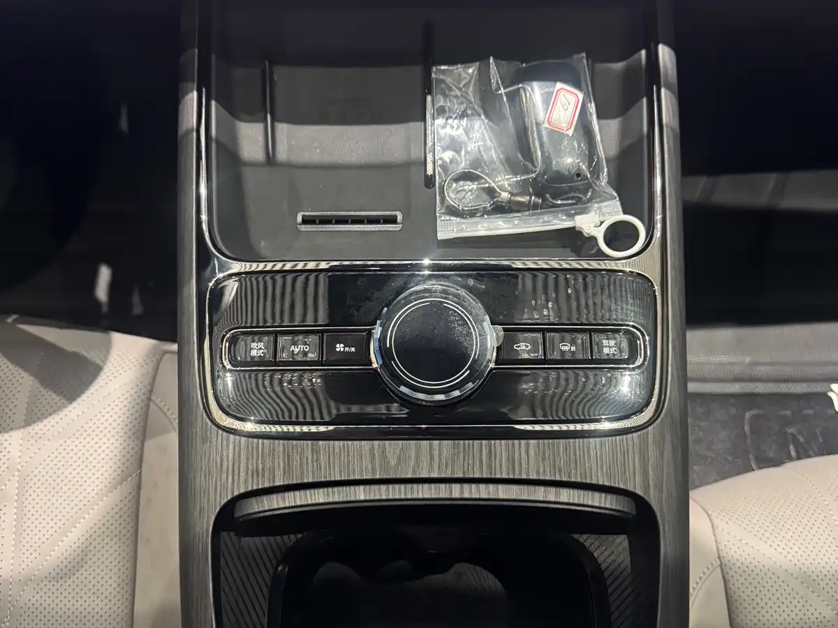 Geely Galaxy Galaxy Xingyao 8 2025 130km EM-i Premium Edition фото 16