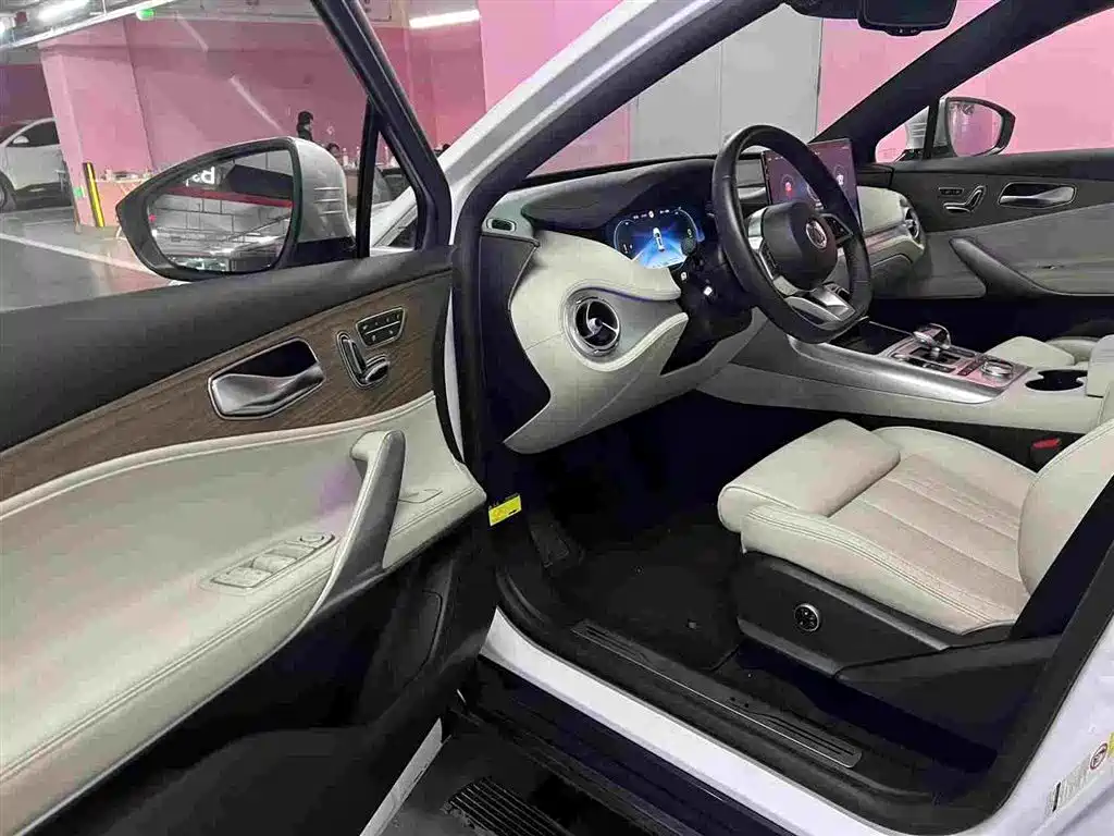 Denza X 2021 2020 Pure Electric Flagship Edition
