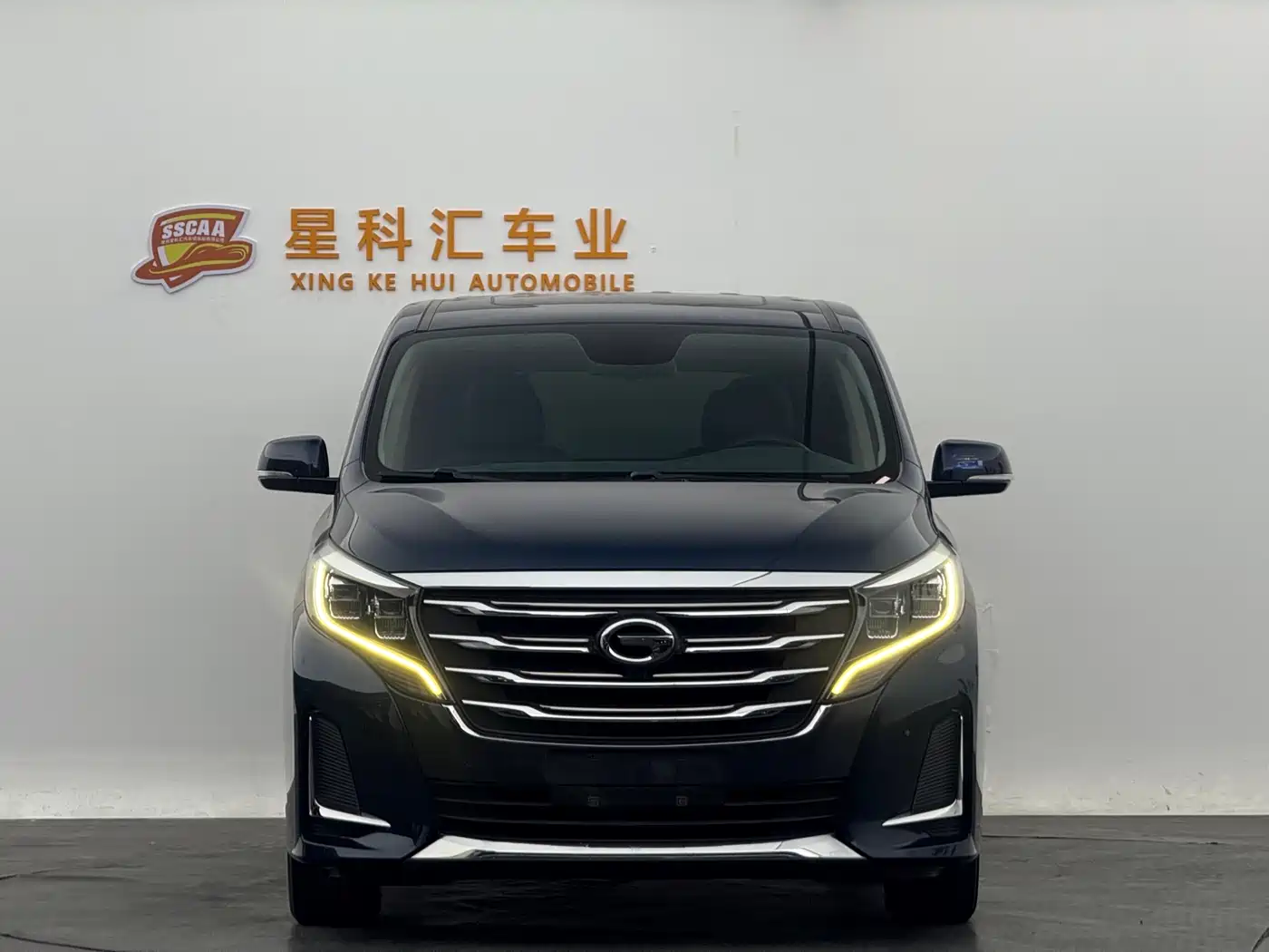 GAC Trumpchi Trumpchi M8 2020 Pilot 390T Prestige Edition фото 2