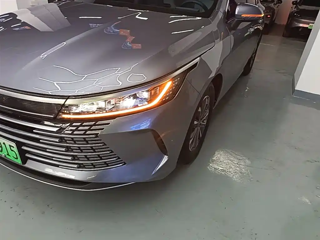 BYD Destroyer 05 2024 Glory Edition DM-i 55KM Luxury фото 24