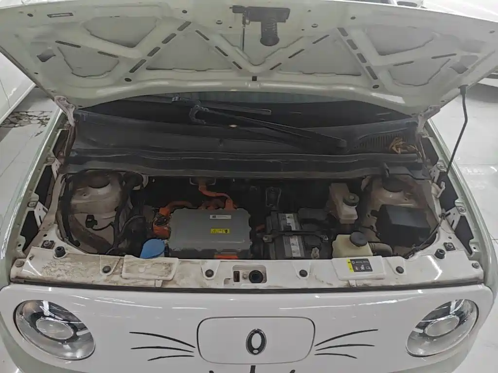 Ora Black Cat 2022 2022 351km Standard (NMC)