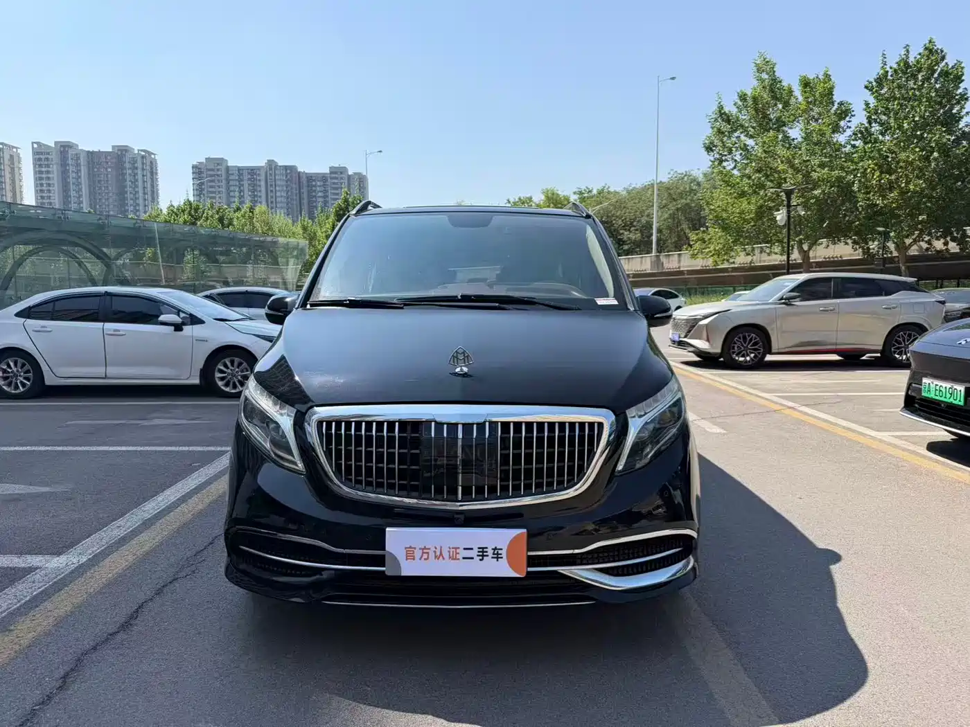 Mercedes-Benz Vito 2018 2.0T Business China V фото 2