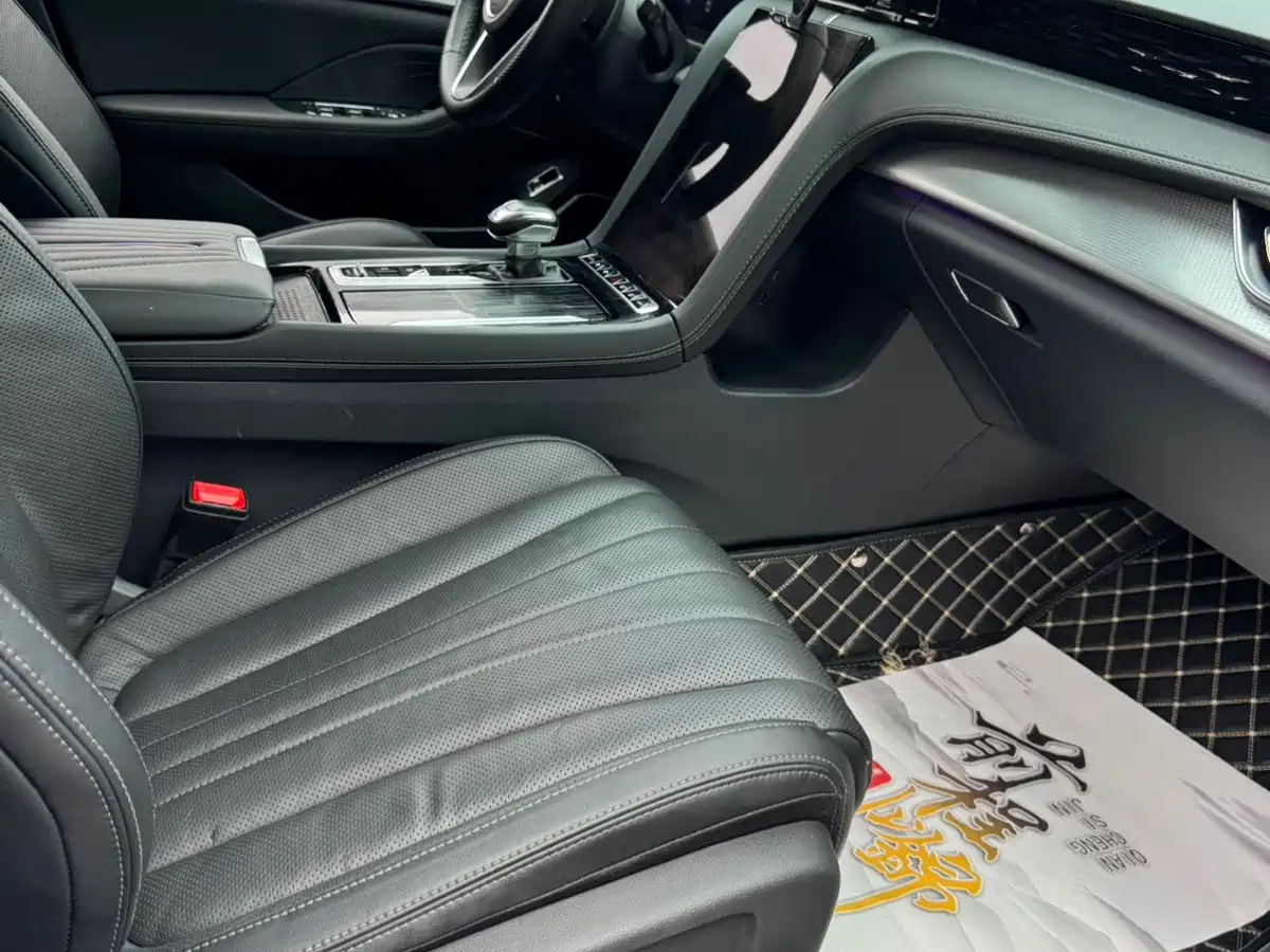 Hongqi H5 2023 2.0T Auto Smart Connect Flag Comfort фото 11