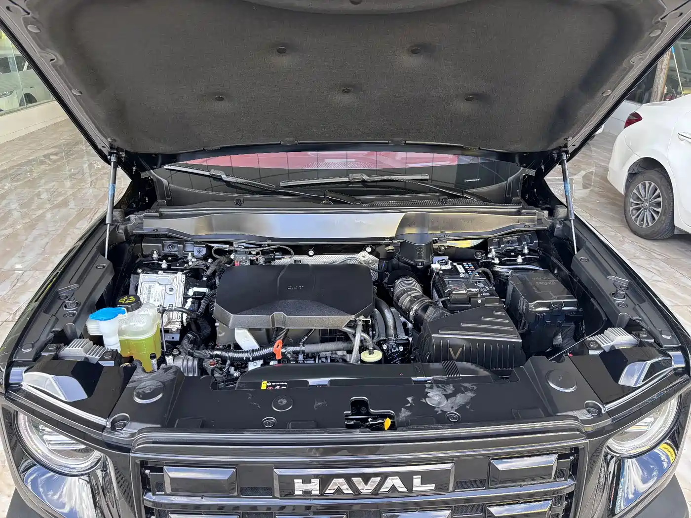 Haval Big Dog 2026 2026 2.0T Standard