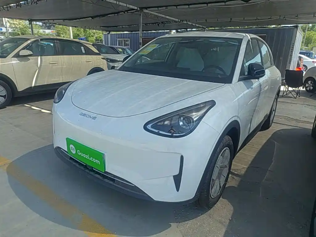 Geely Galaxy Starry Wish 2026 Edition 310km Youth Version