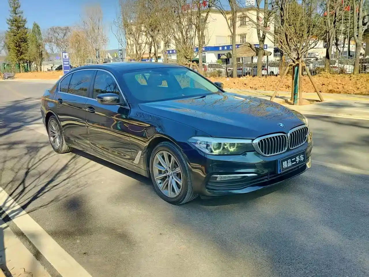 BMW 5 Series 2018 528Li Launch Special Edition фото 3