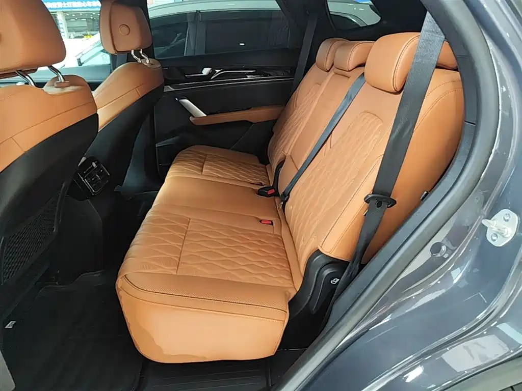 BYD Tang New Energy 2023 Model DM-i Champion Edition 112KM Premium фото 17