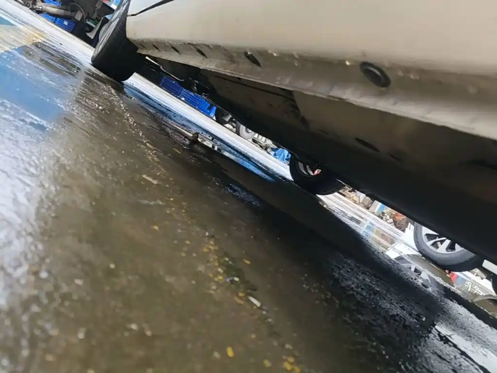 Ora Black Cat 2019 2019 Model 351km Smart Intelligence Edition