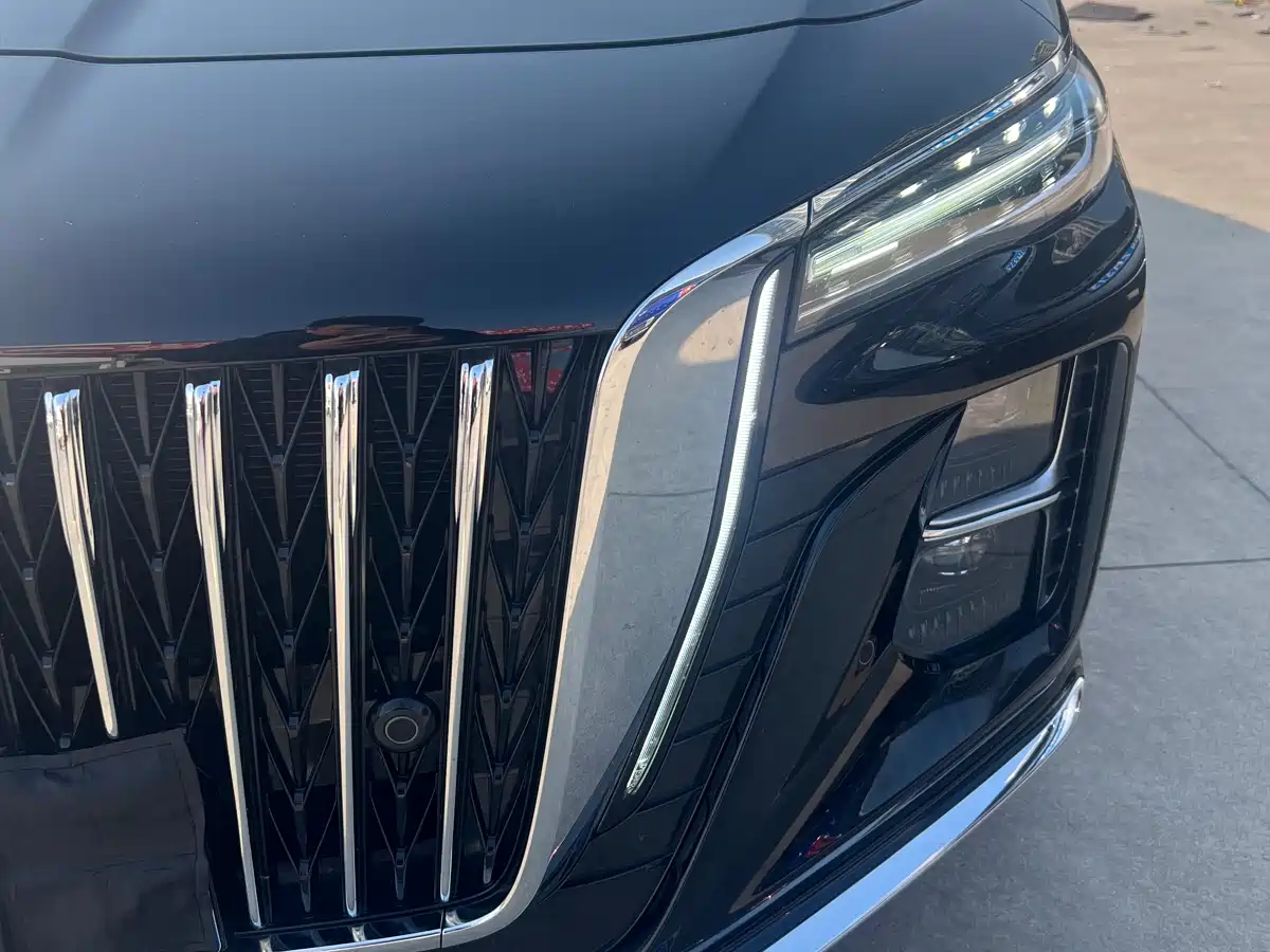 Hongqi H5 2024 2.0T Automatic Smart Connect Flag Leader Edition фото 4