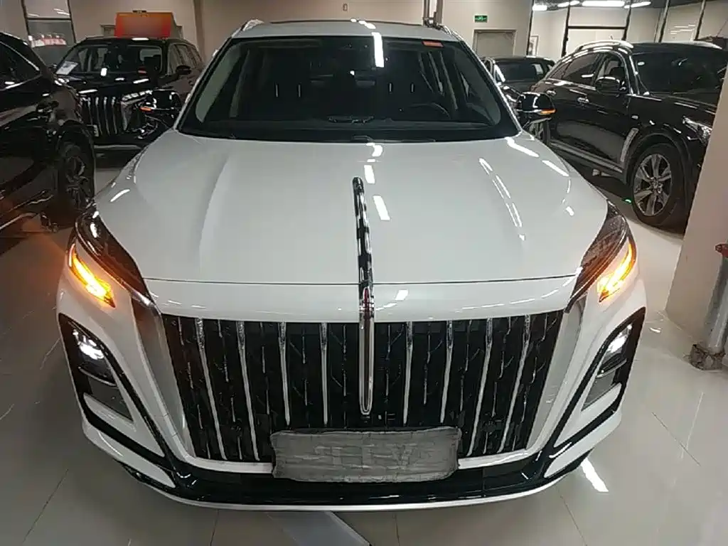 Hongqi HS3 PHEV 2024 PHEV 115km Power Edition фото 3