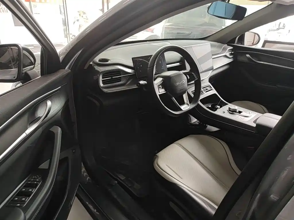 BYD Destroyer 05 2024 Glory Edition DM-i 55KM Luxury фото 16