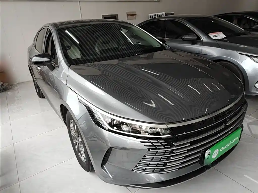 BYD Destroyer 05 2024 Glory Edition DM-i 55KM Luxury фото 4