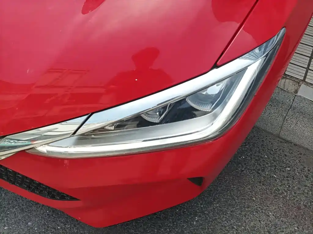 BYD e2 2020 Upgraded Long Range Luxury фото 24