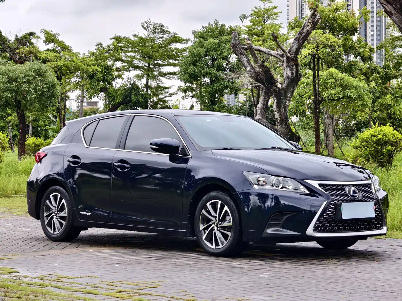 Lexus CT 2019 2017 CT200h Elite Edition Monochrome China V