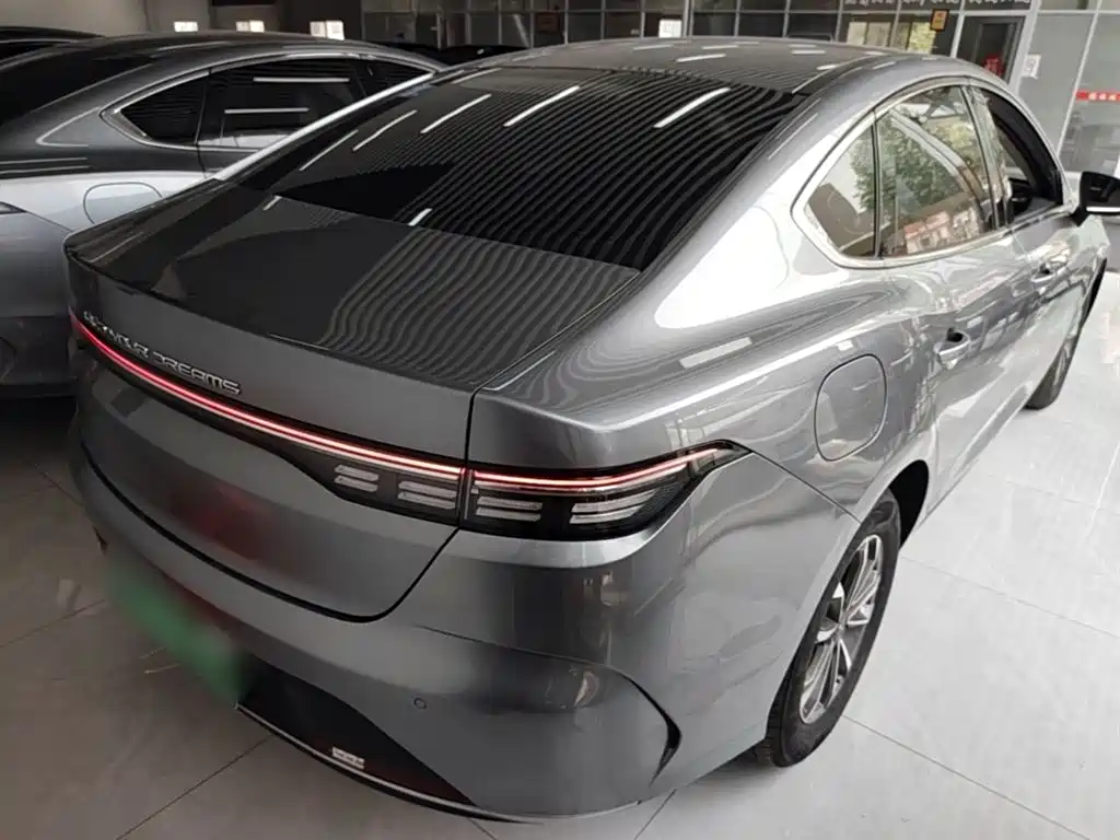 BYD Destroyer 05 2024 Glory Edition DM-i 55KM Luxury фото 7
