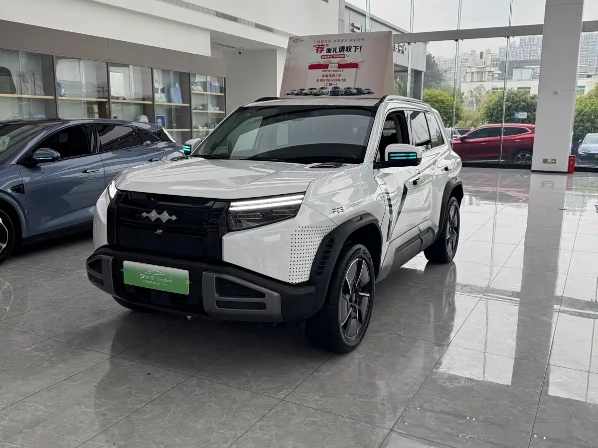 FANG CHENG BAO TITANIUM 3