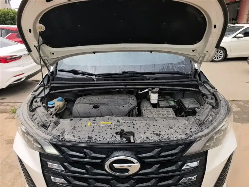 GAC Trumpchi Trumpchi M6 2021 PRO 270T DCT Luxury Edition фото 20