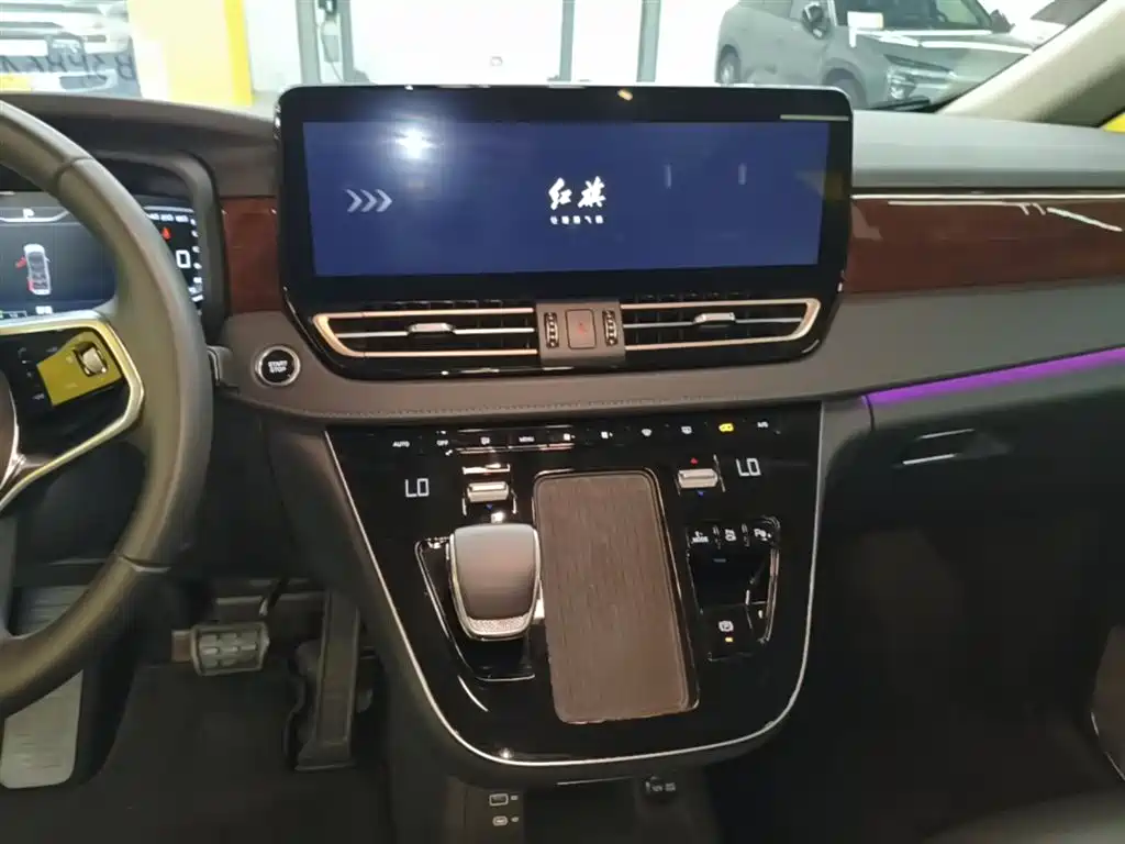 Hongqi HQ9 PHEV 2024 Model 2.0T AWD Luxury Edition фото 13