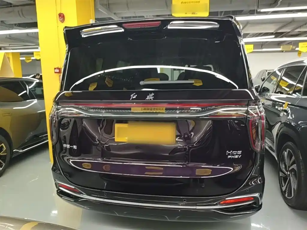 Hongqi HQ9 PHEV 2024 Model 2.0T AWD Luxury Edition фото 6