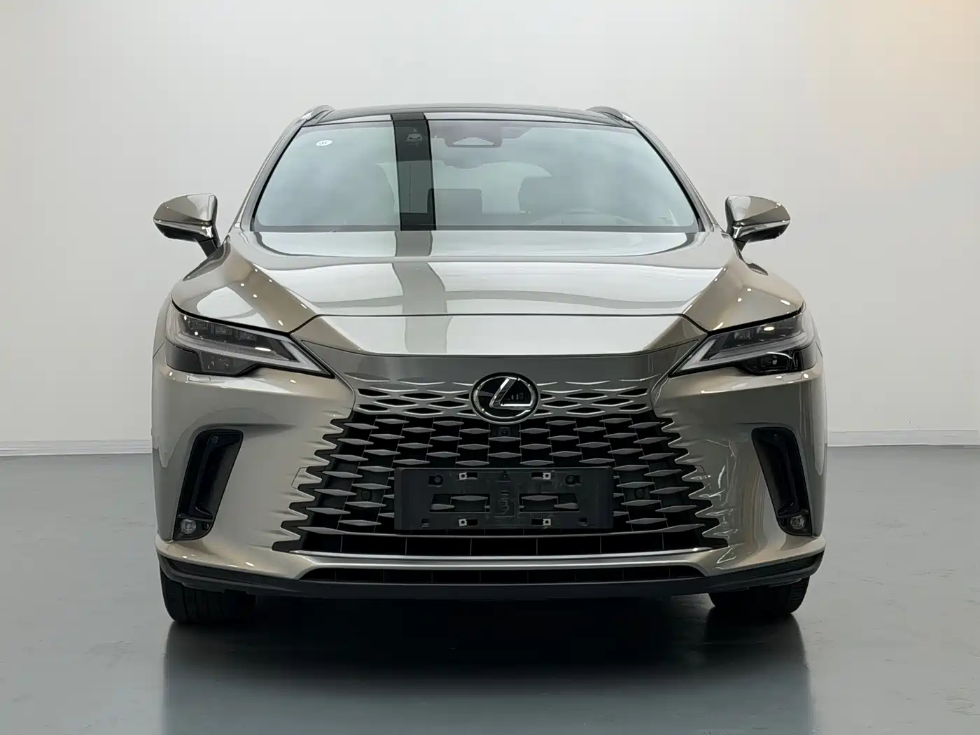Lexus RX New Energy 2023 450h+ 4WD Enjoyment фото 2