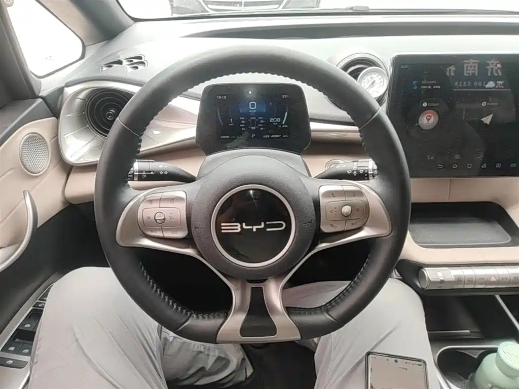 BYD Dolphin 2023 420km Fashion Edition фото 11